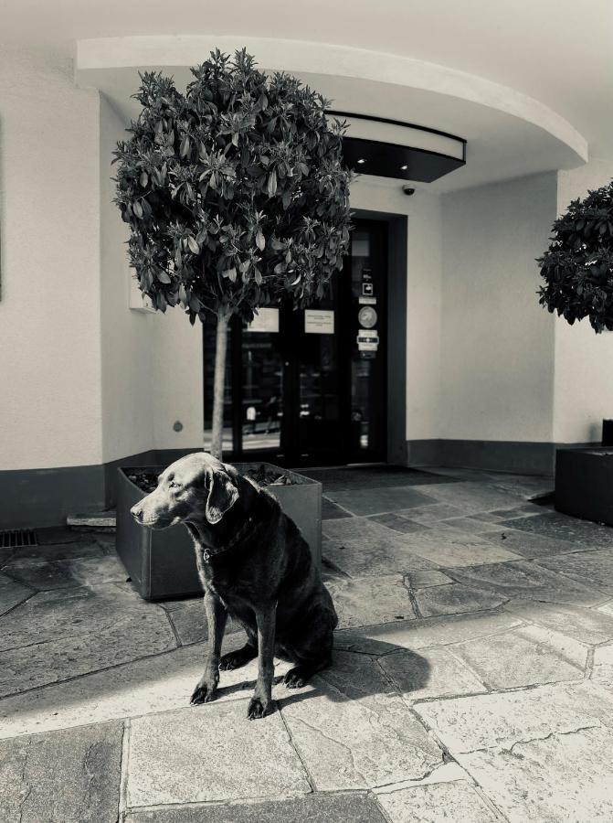 Hotel Murten Hotel Murten